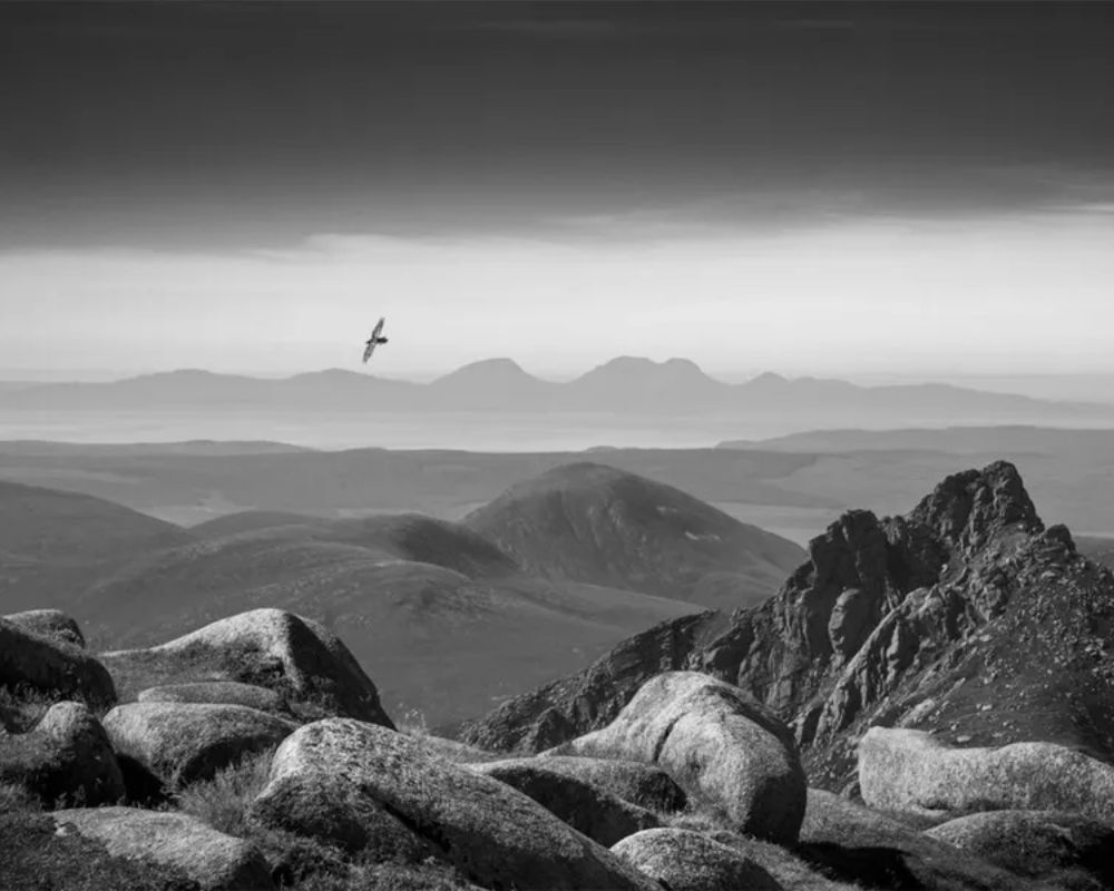 Un corvo plana alto sopra la vetta di Goatfell sull'Isola di Arran, la montagna più alta dell'isola, in Scozia, Regno Unito. Foto di Robin Dodd, vincitore della categoria in bianco e nero del British Wildlife Photography Awards.