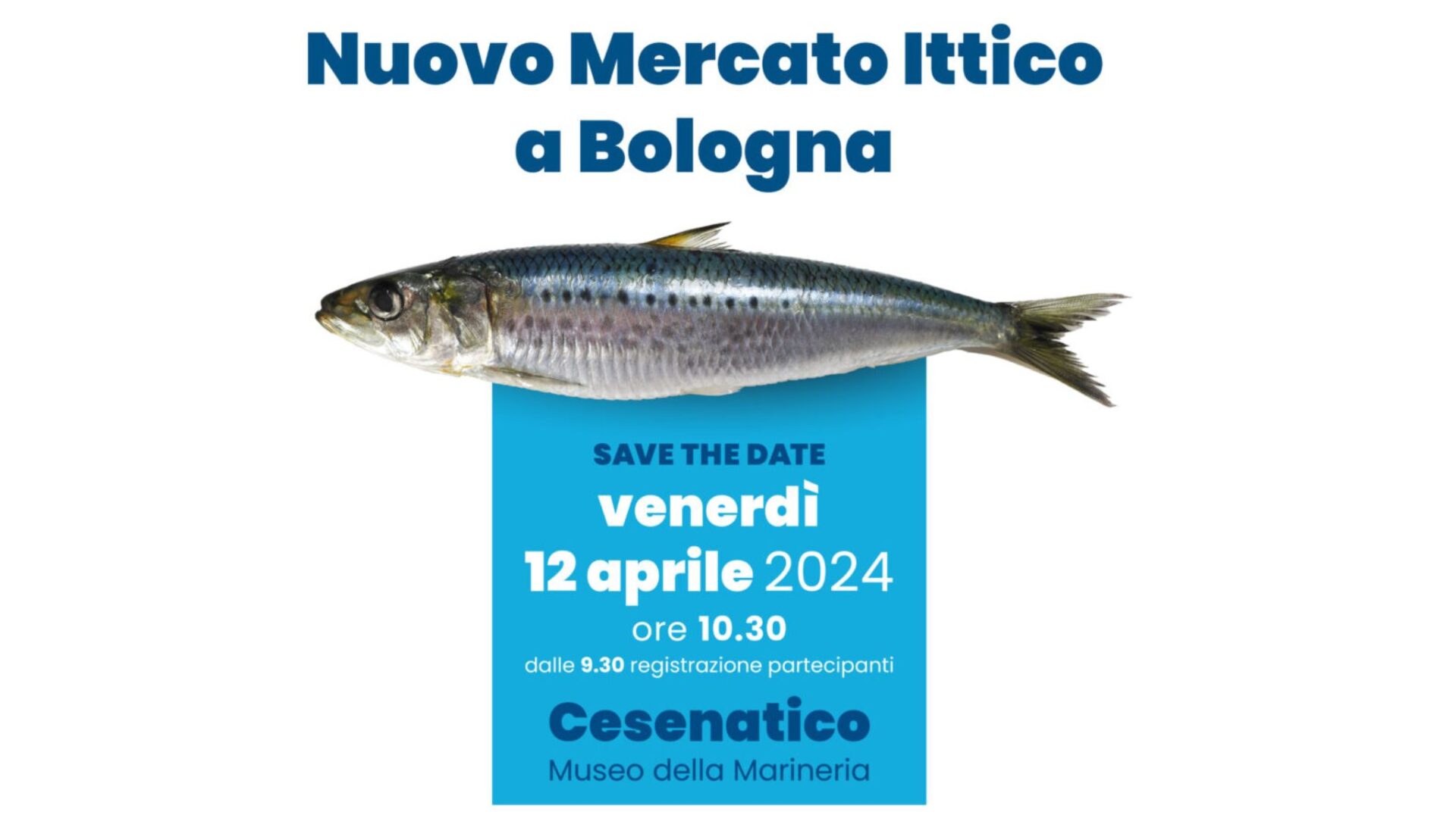 Presentazione del Nuovo Mercato Ittico: Un’opportunità di crescita per il settore della pesca