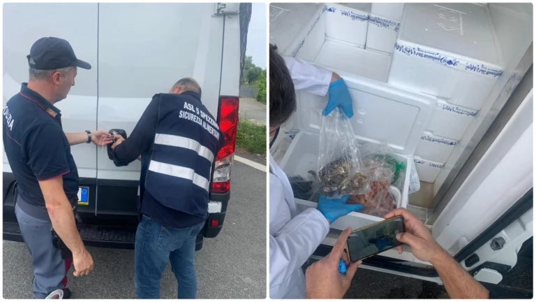 Cronaca Ricevi le notifiche su LA-SPEZIA Attiva La Nazione La Spezia Cronaca Pesce e crostacei venduti sui social: sequestrati 2 quintali senza etichetta Pesce e crostacei venduti sui social: sequestrati 2 quintali senza etichetta