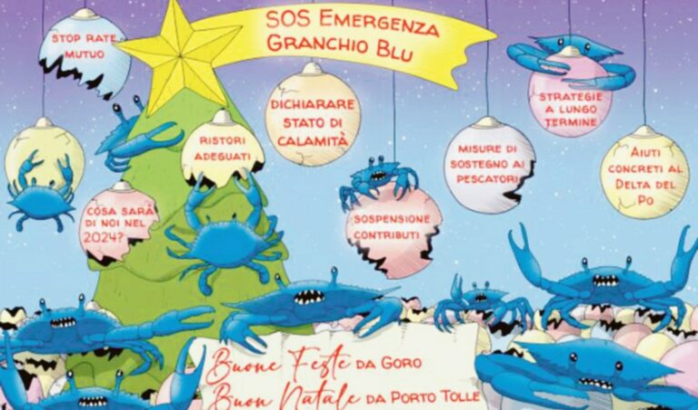 Emergenza Granchio Blu: cartoline di Natale per Giorgia Meloni