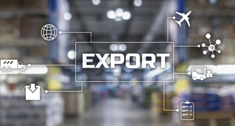 L’export: rinnovamento e salvezza